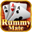 rummy master 110 bonus icon