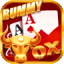 rummy 200 bonus